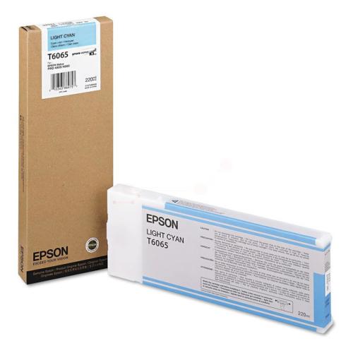 Epson inktcartridge cyaan foto (C13T606500 / T6065)