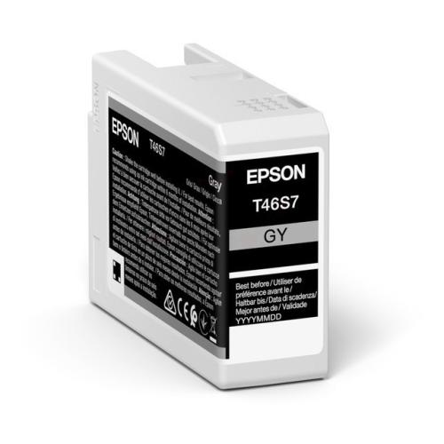 Epson inktcartridge grijs (C13T46S700 / T46S7)
